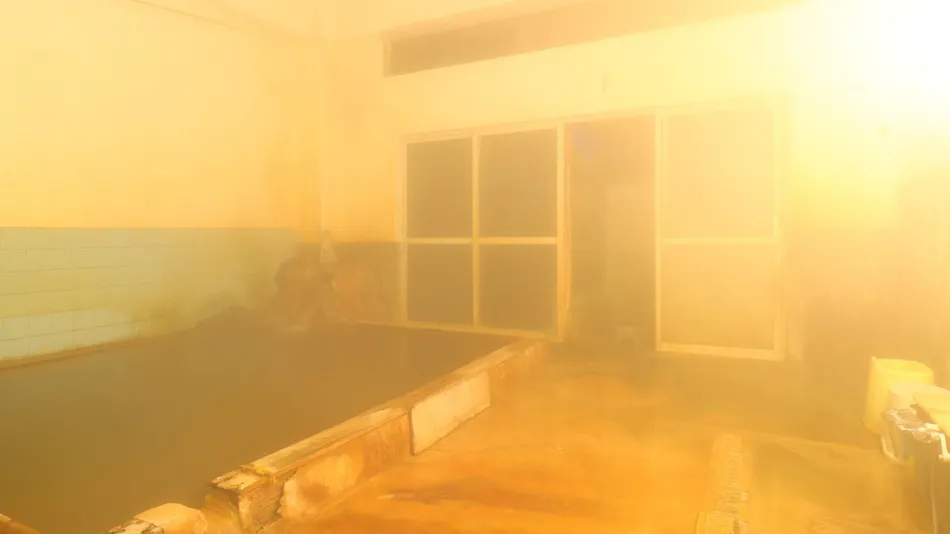 Stays for Therapeutic Baths Myokenkan (Myokenkan)
