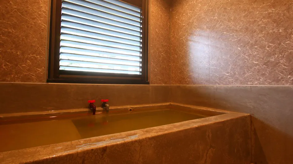 Stays for Therapeutic Baths Myokenkan (Myokenkan)