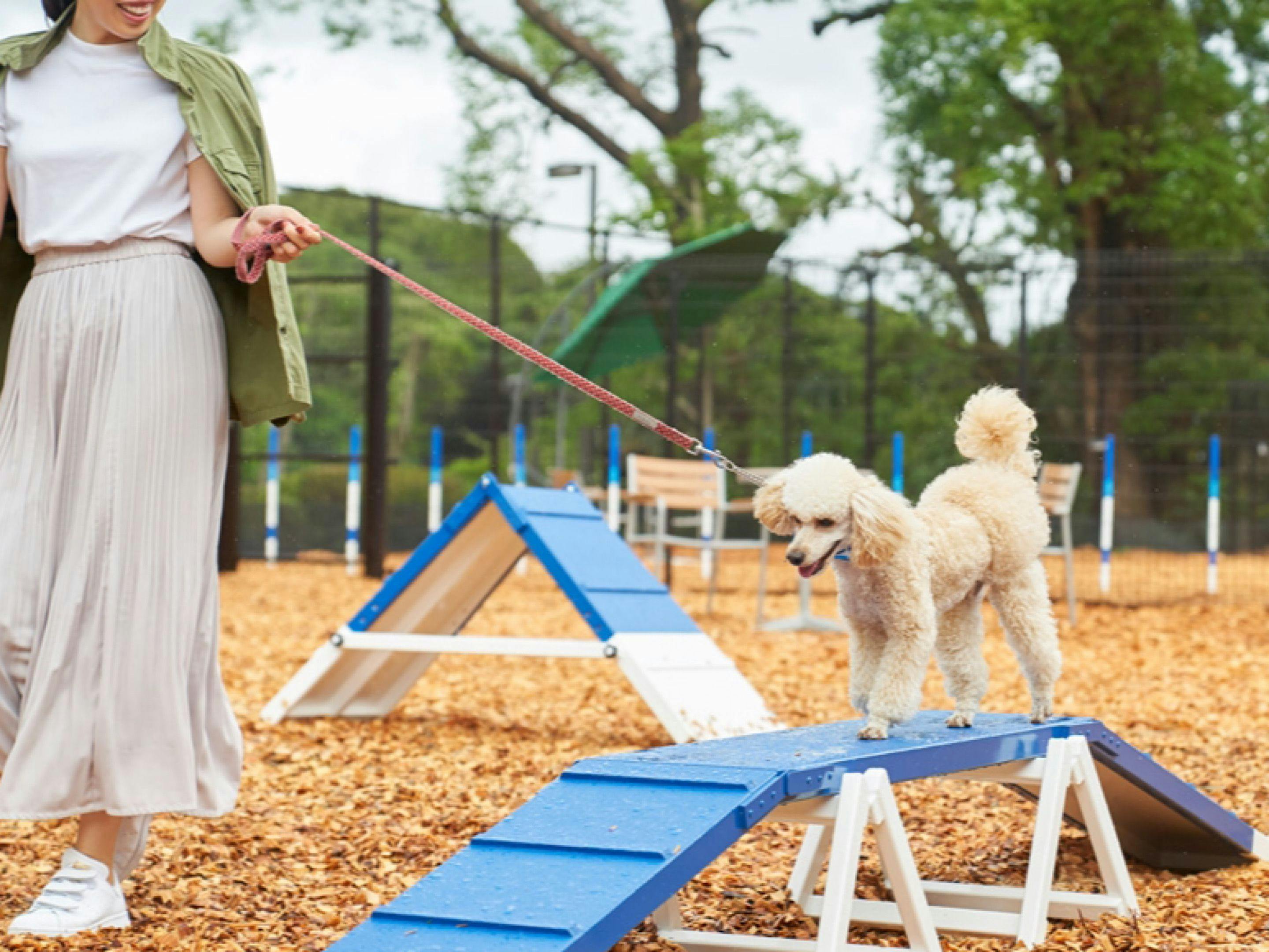 寬敞的狗狗跑道供您盡情享受