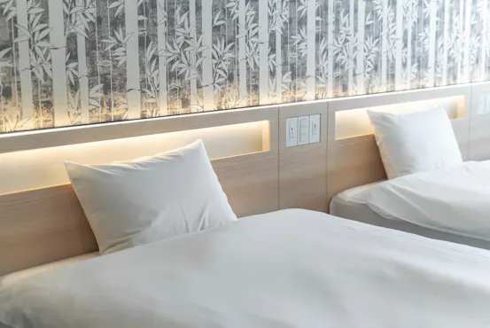 สแตนดาร์ดทวิน