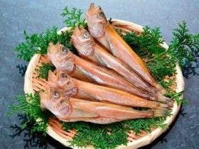 香住　四季之宿　鶴（ＫＡＫＵ）