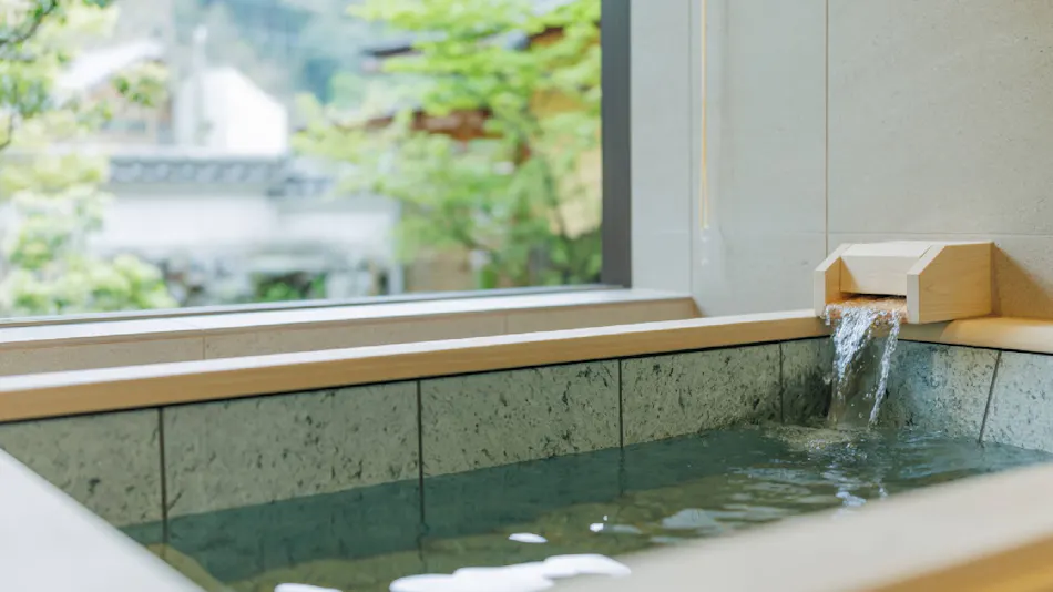 Cuisine Ryokan Kigusuriya