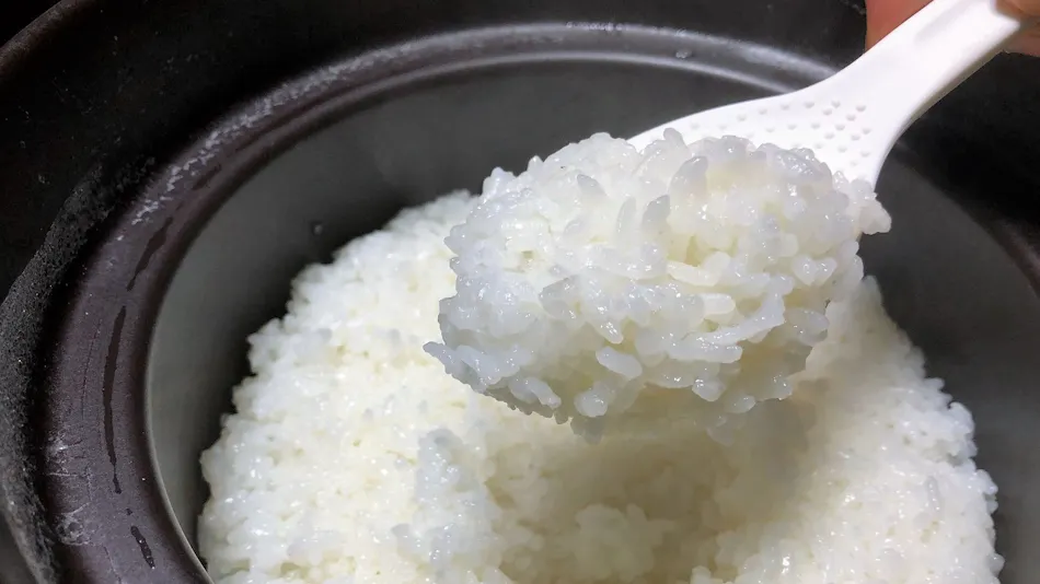 Cuisine Ryokan Kigusuriya