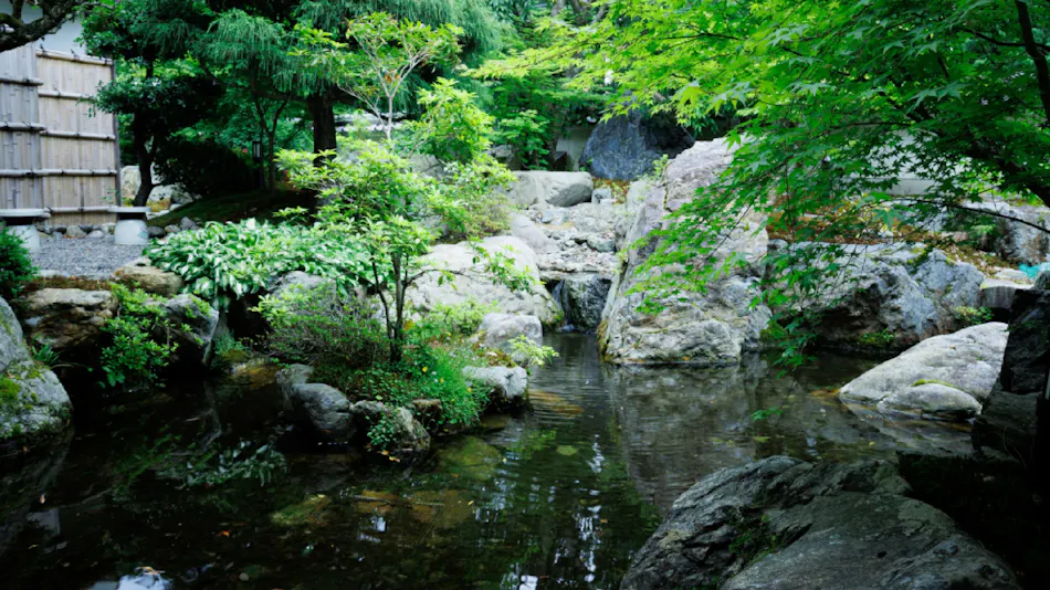 Cuisine Ryokan Kigusuriya