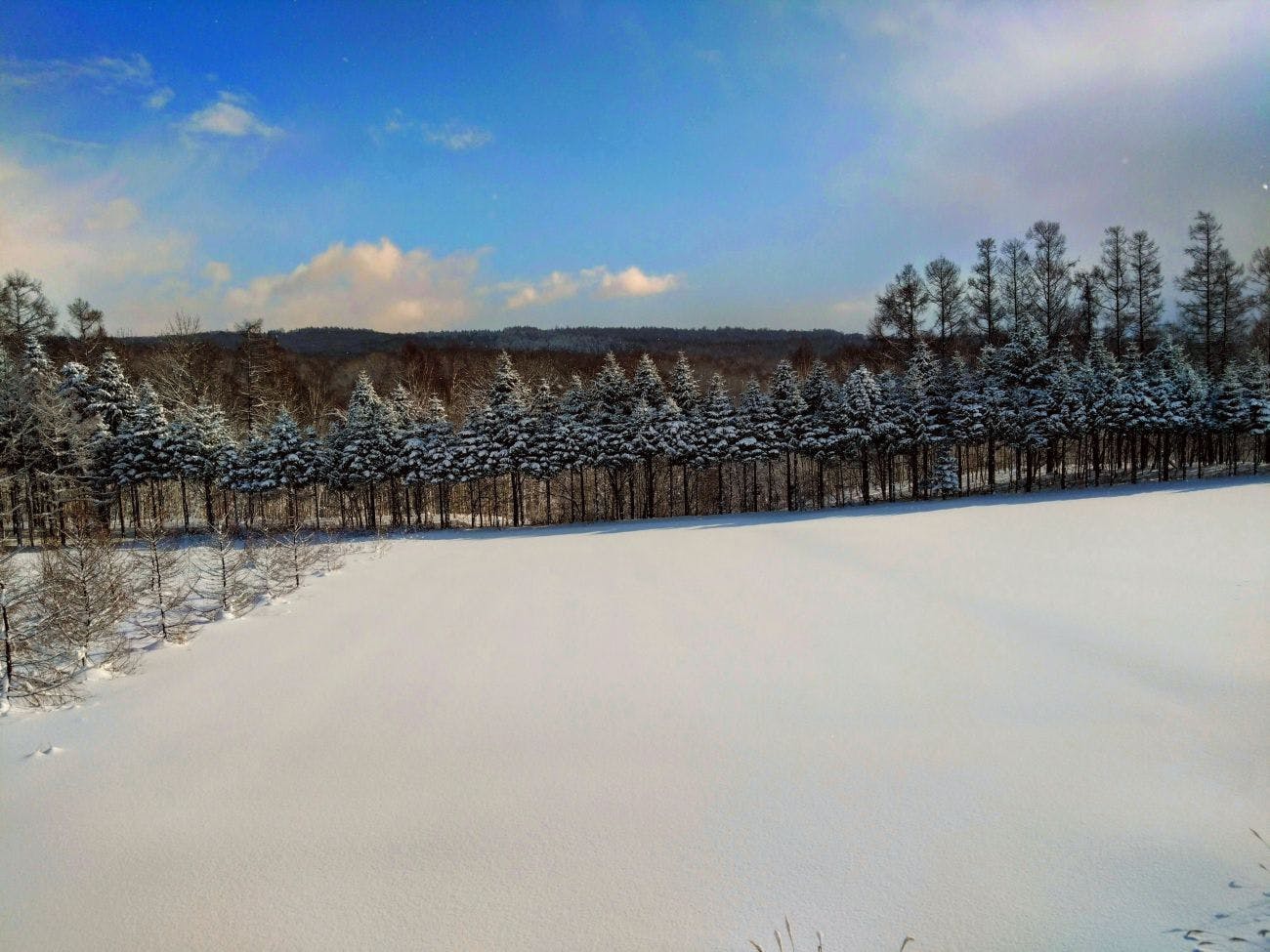 Fureai no Sato Tomioka