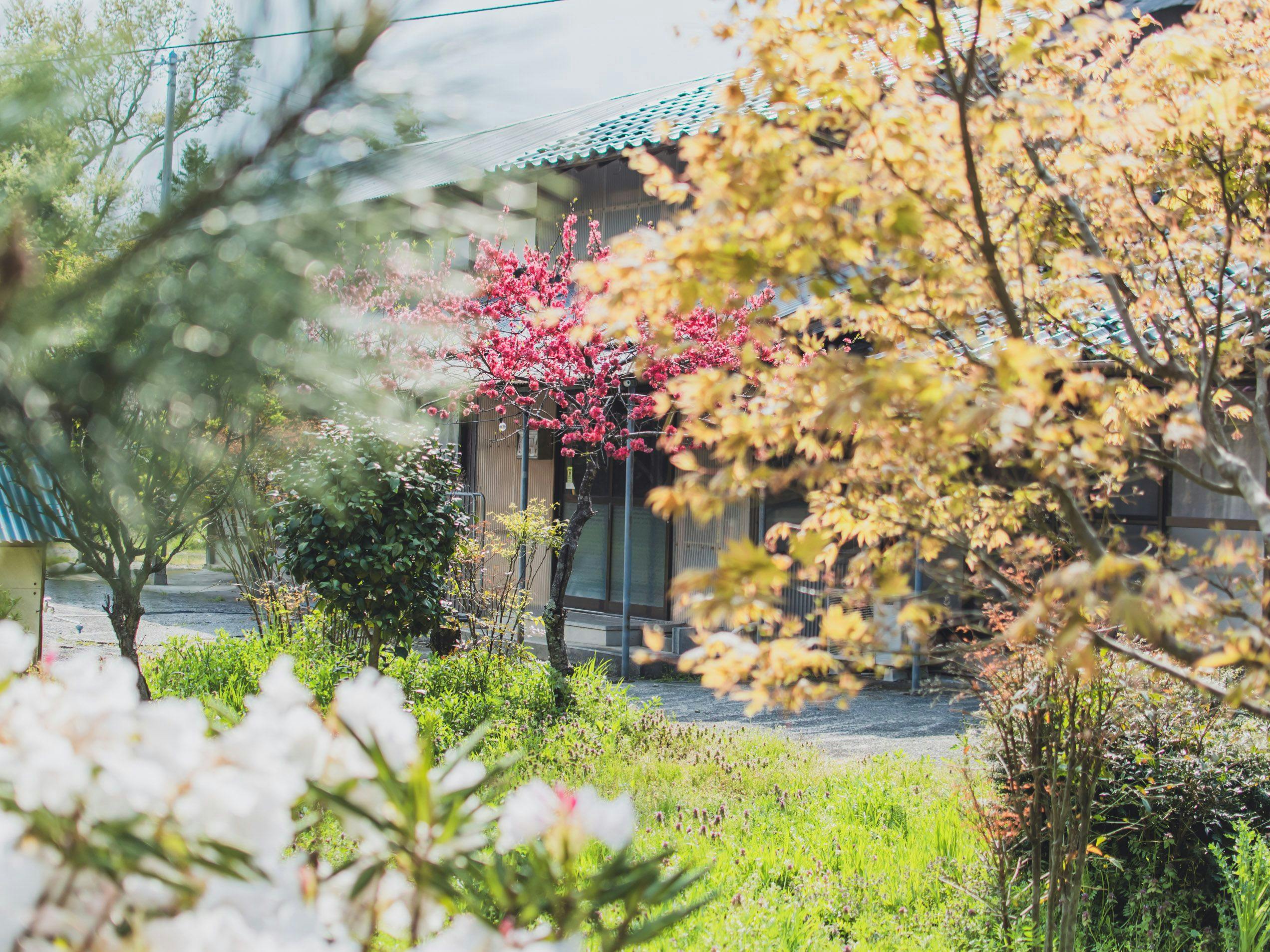 AKIYATO Active Art Hotel