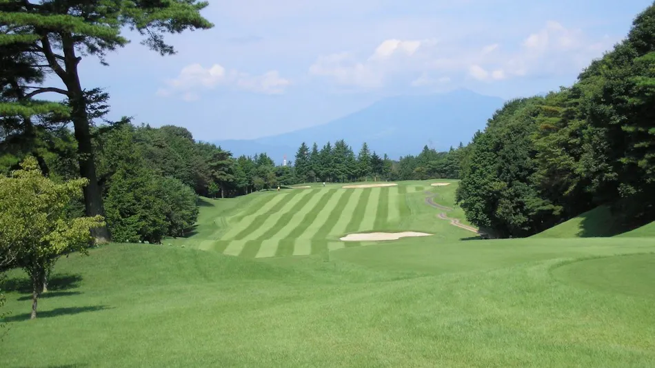 The Lodge Ohinata