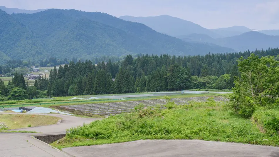 Itoshiro Plateau Calvilla Itoshiro