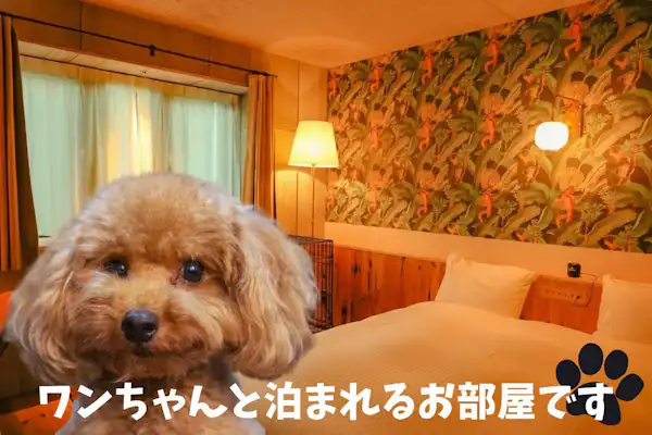 ห้องพักสำหรับผู้เข้าพักที่นำสุนัขมาด้วยโดยเฉพาะ