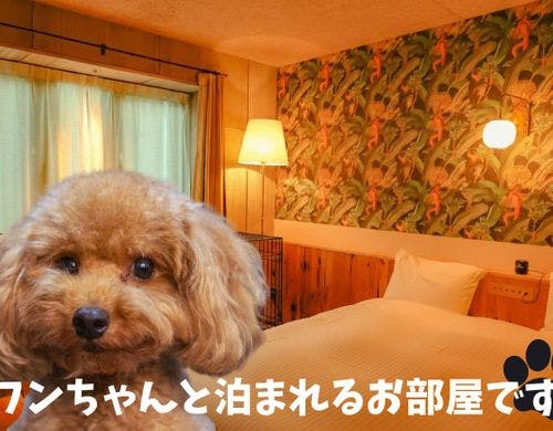 ワンちゃん同伴専用客室