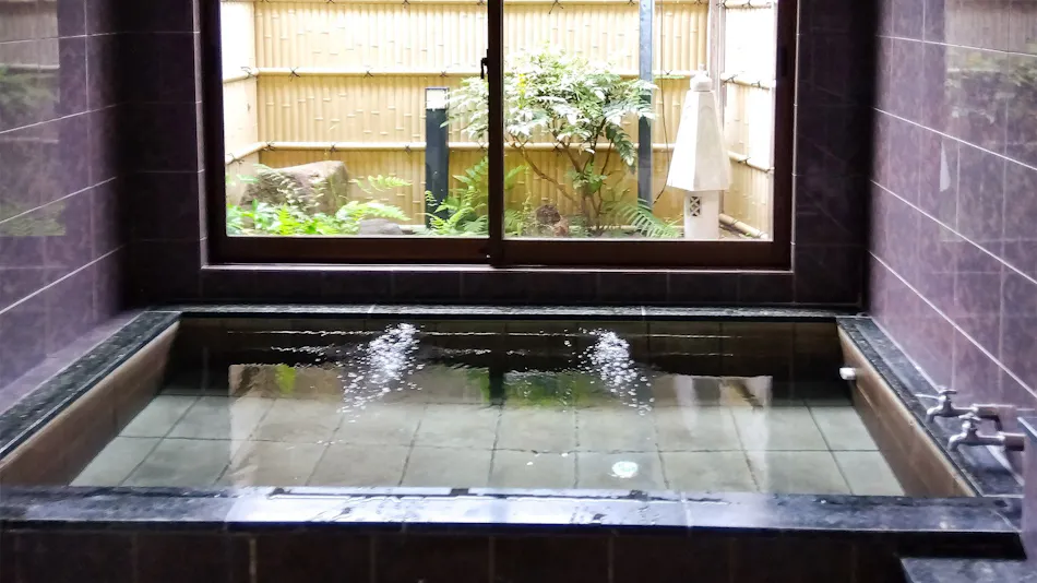 Hoshino Ryokan