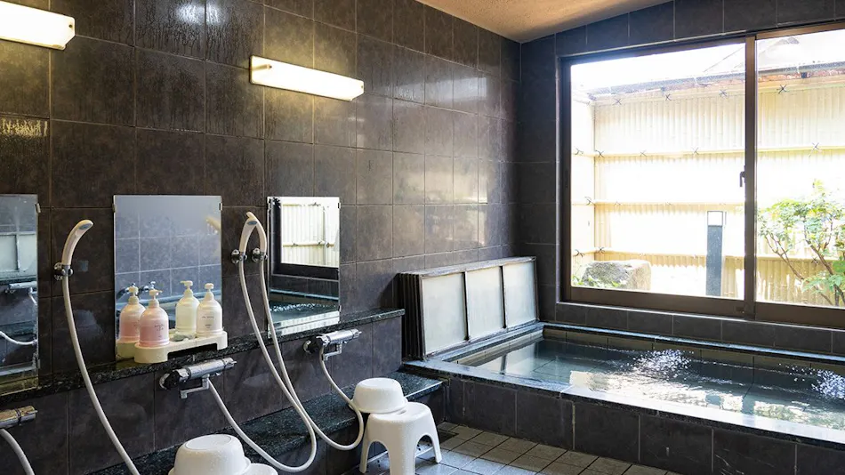 Hoshino Ryokan
