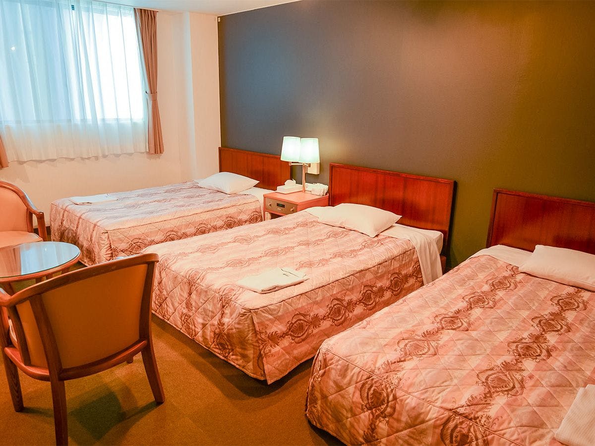 Business Hotel Hayashi