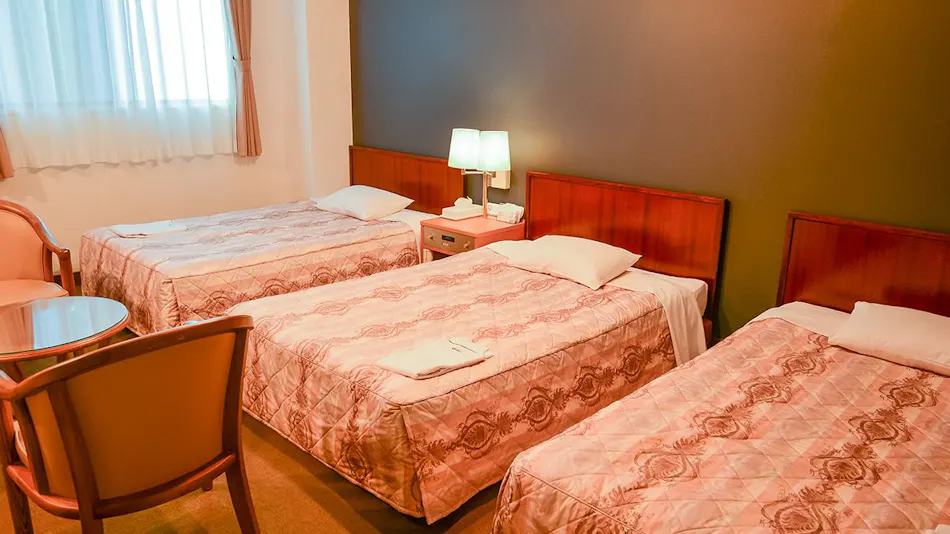 Business Hotel Hayashi