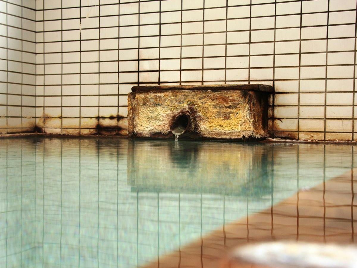 Kusatsu Onsen Pension Raisin