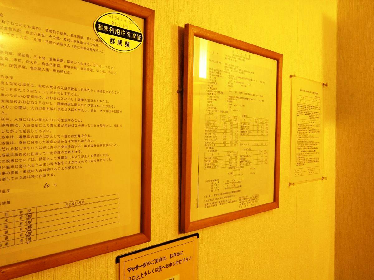Kusatsu Onsen Pension Raisin