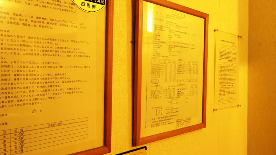 Kusatsu Onsen Pension Raisin