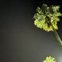 【ใกล้เคียง】ดื่มด่ำกับท้องฟ้าที่เต็มไปด้วยดวงดาวที่หาไม่ได้ในเมืองใหญ่★