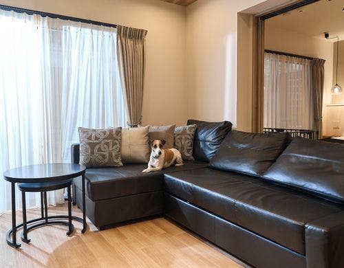 ペットと一緒にお過ごし頂けます