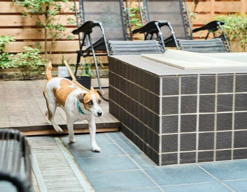 テラスには緑のスペースも