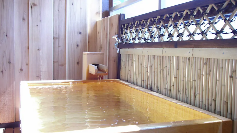 Nozawa Onsen Hotel