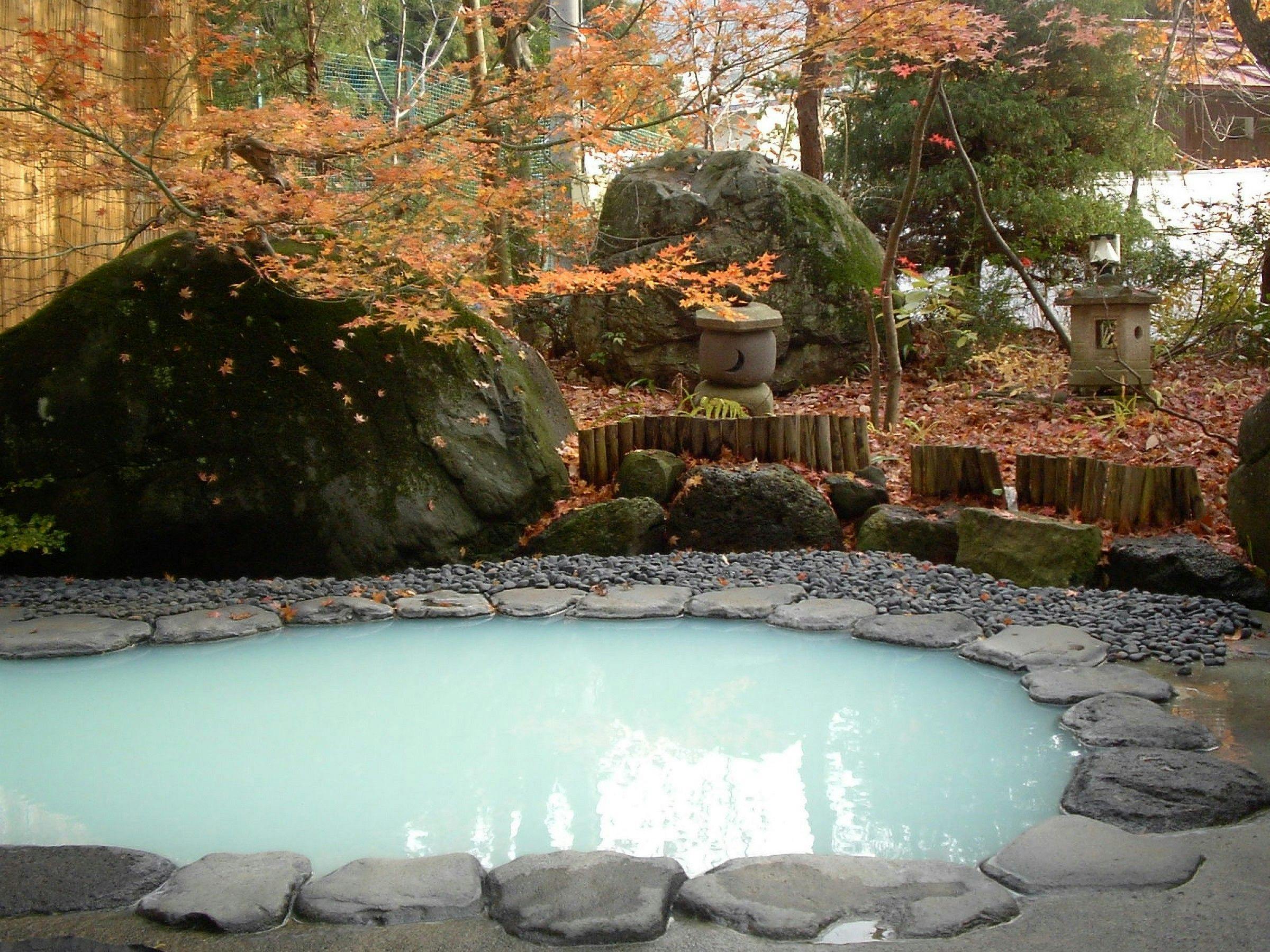 Nozawa Onsen Hotel