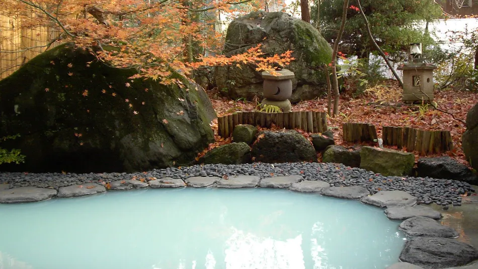 Nozawa Onsen Hotel