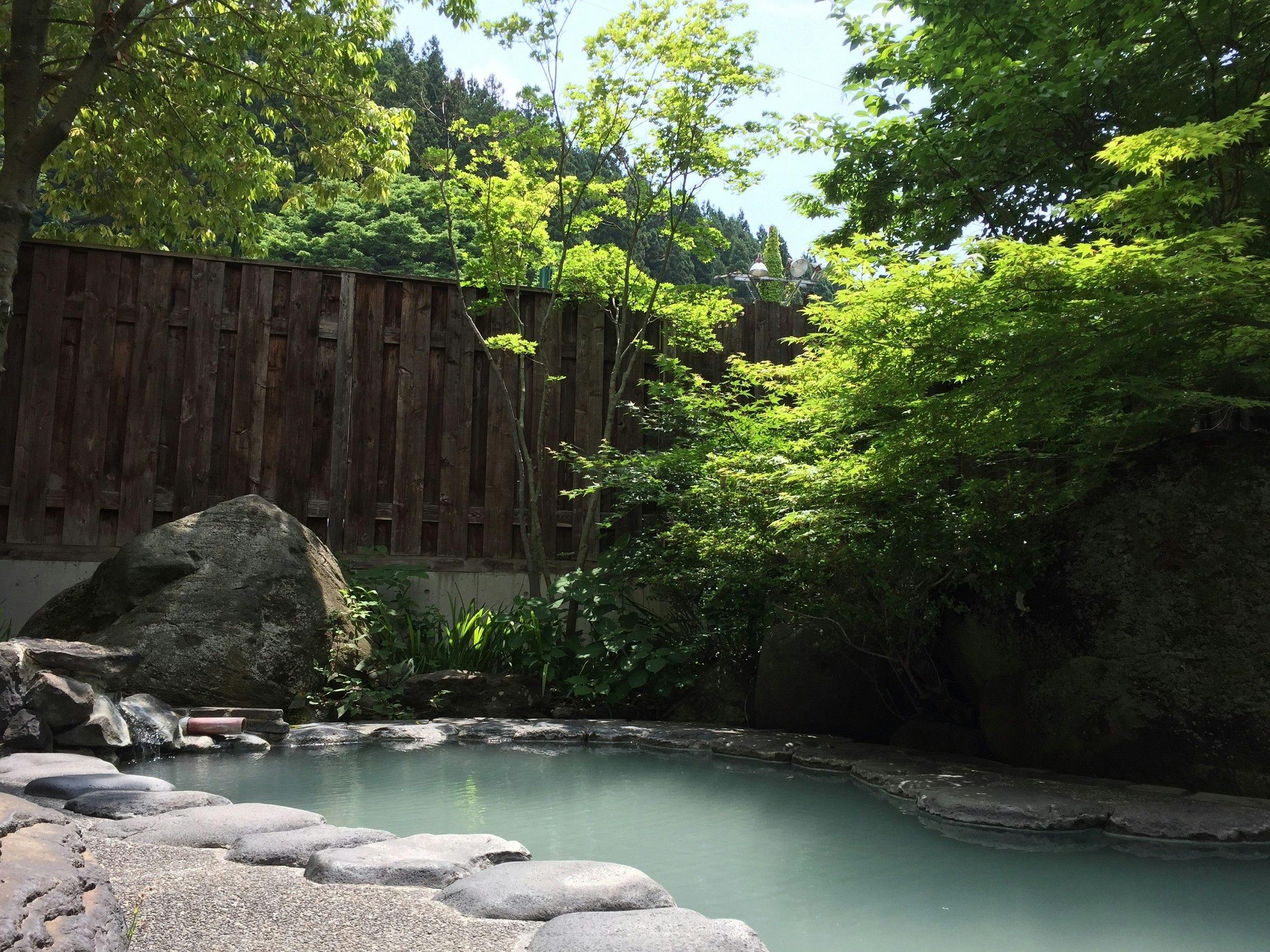 Nozawa Onsen Hotel