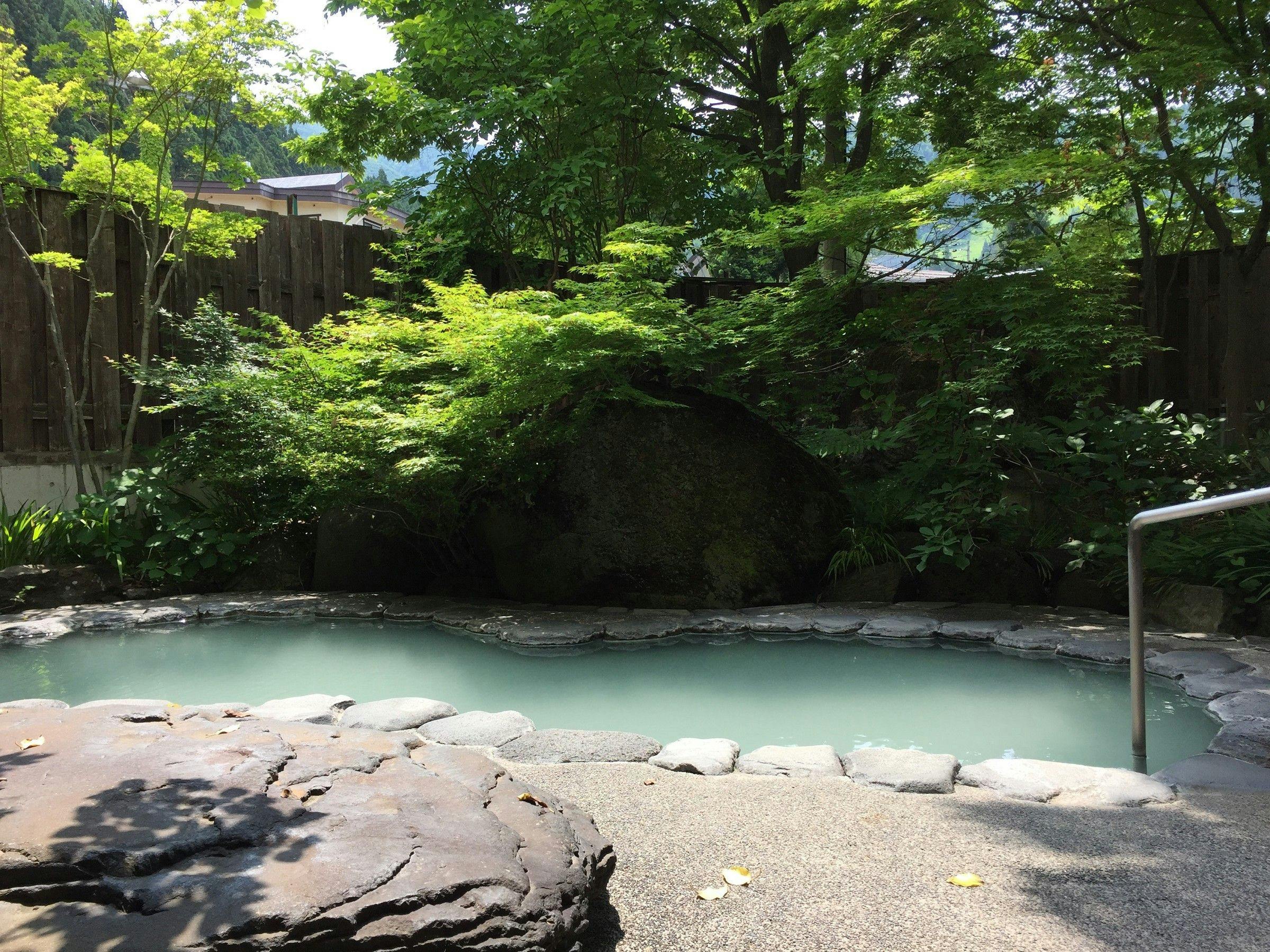 Nozawa Onsen Hotel