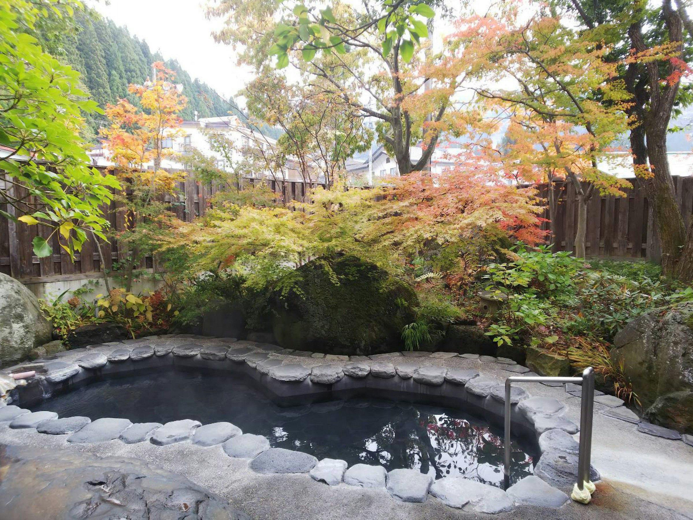 Nozawa Onsen Hotel
