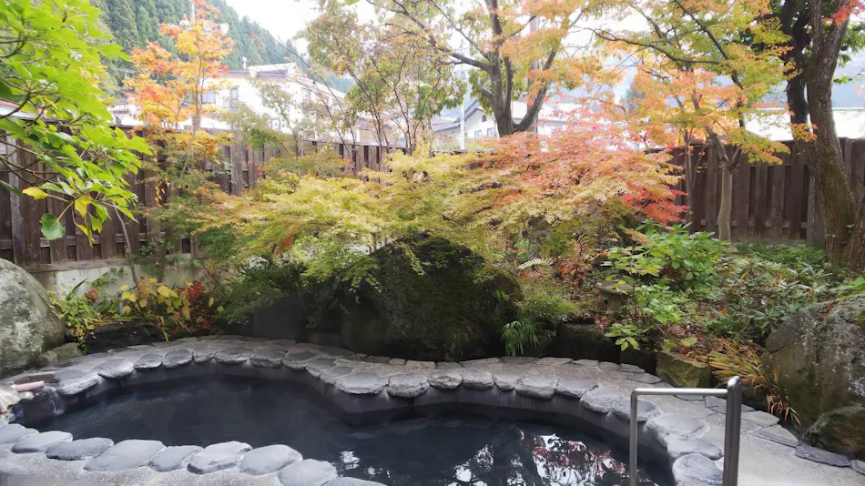 Nozawa Onsen Hotel