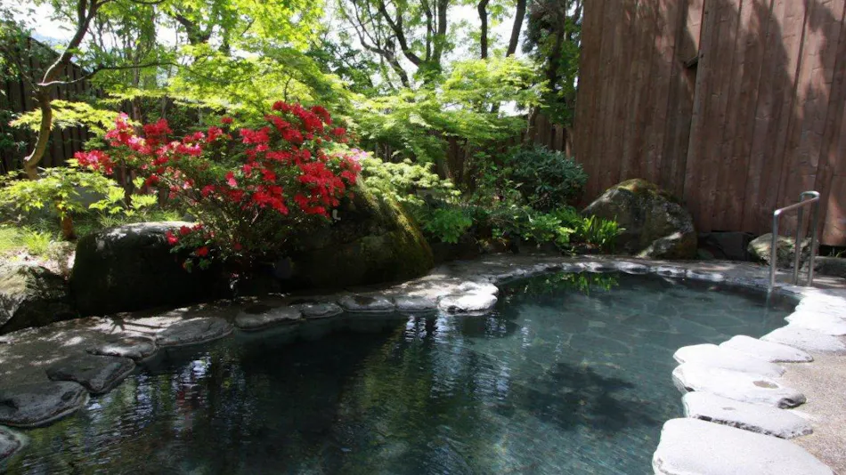 Nozawa Onsen Hotel