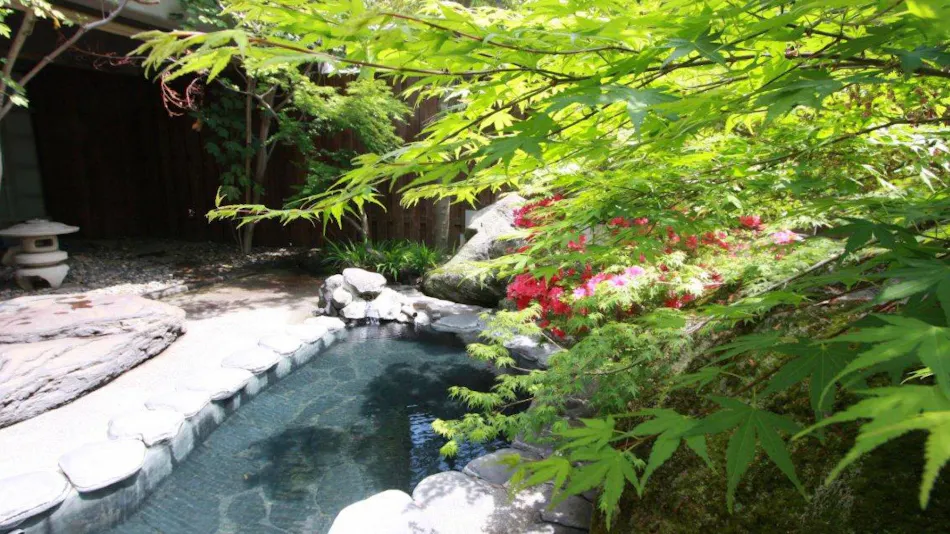 Nozawa Onsen Hotel