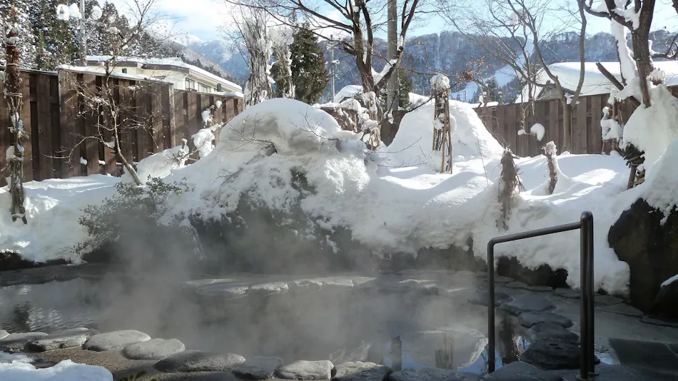 Nozawa Onsen Hotel