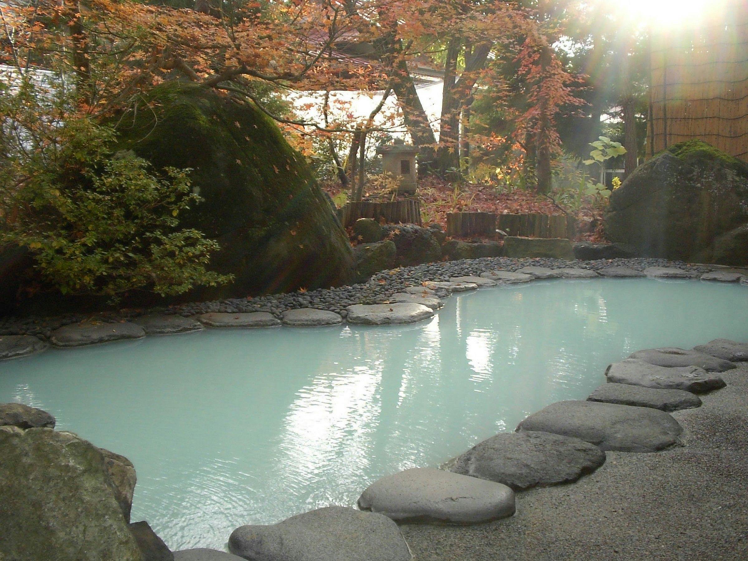 Nozawa Onsen Hotel