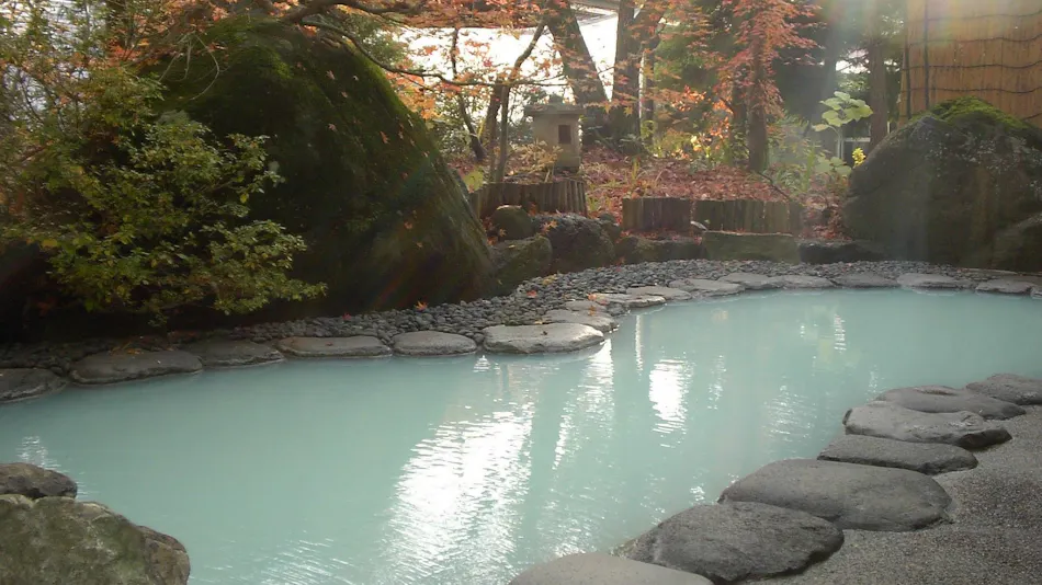 Nozawa Onsen Hotel