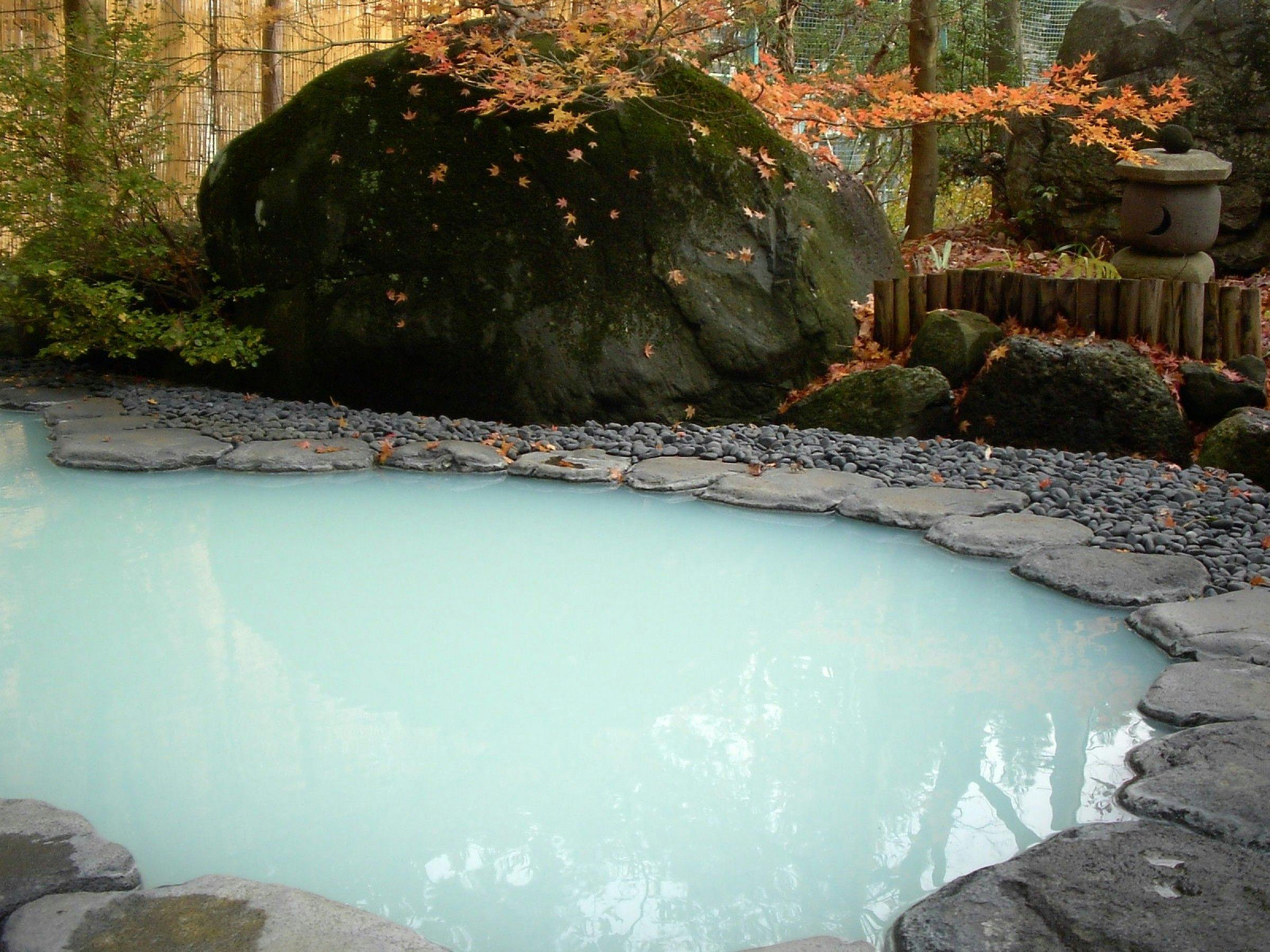 Nozawa Onsen Hotel