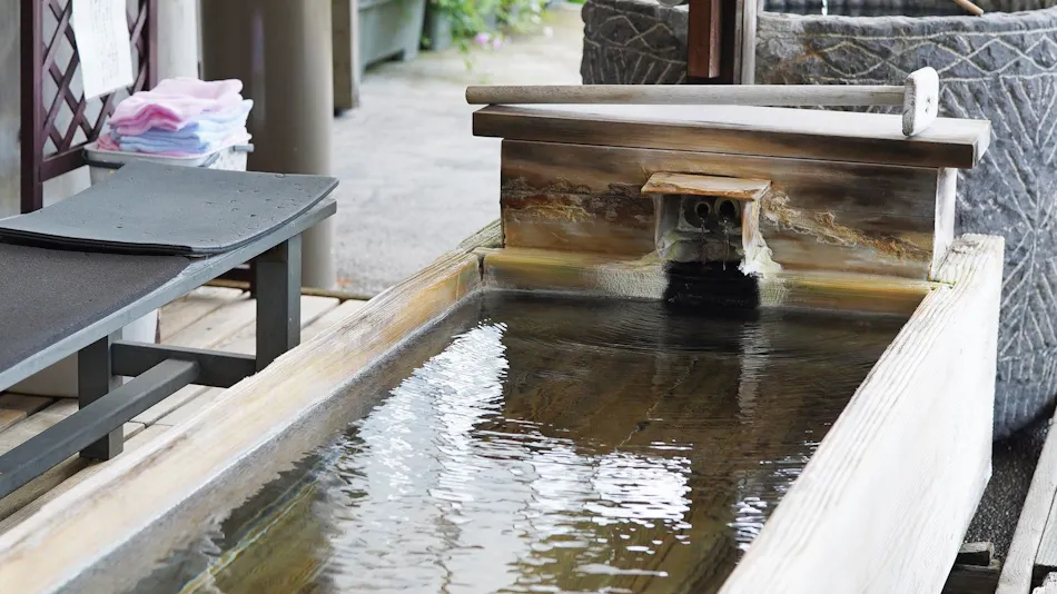 Nozawa Onsen Hotel