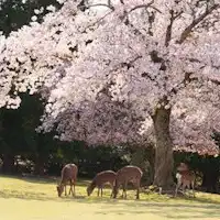 ที่พักดาโยะมะ