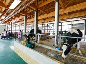 新潟市アグリパーク