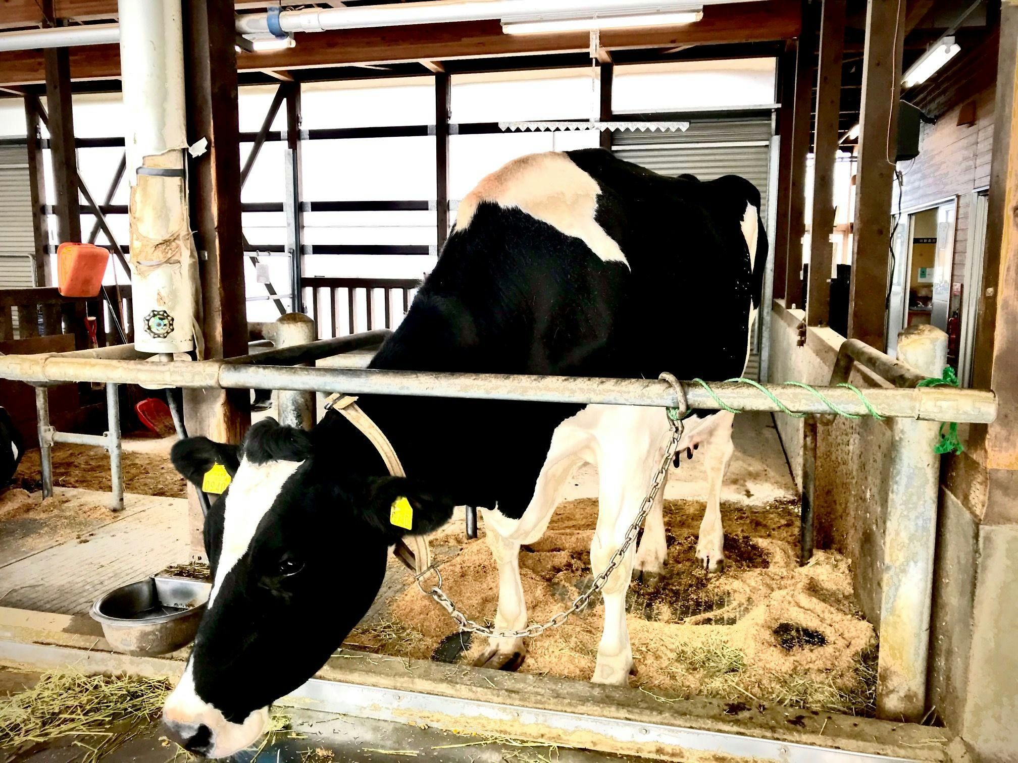 Niigata City Agripark