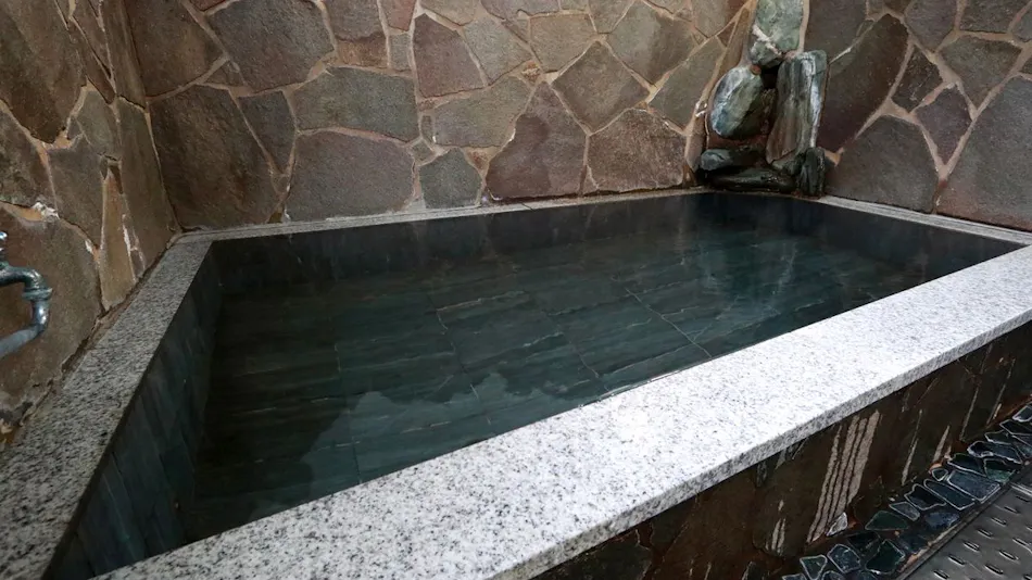 Yuhigaura Onsen Hamakaze no Yado Goshikihama-so Kato Annex
