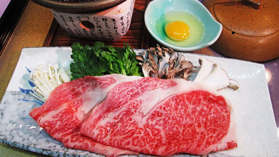 Hotel Mishima no Yu