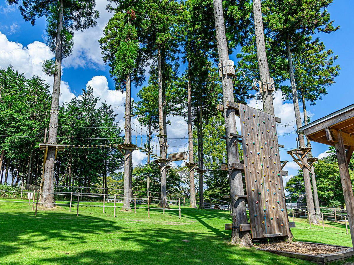 58 Rustic Camp