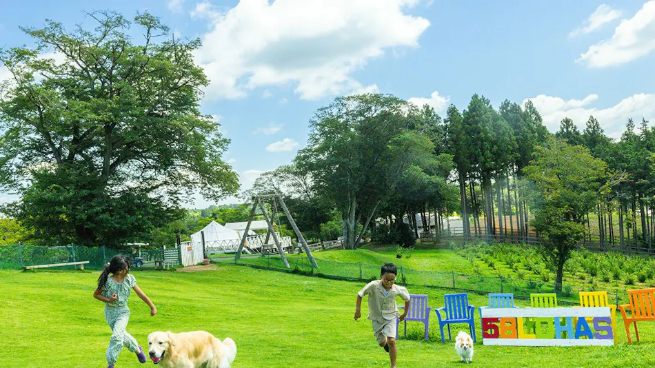 58 Rustic Camp