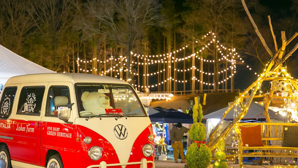 58 Rustic Camp