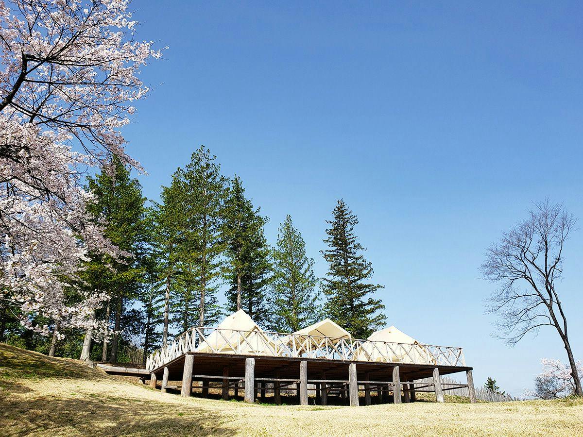 58 Rustic Camp