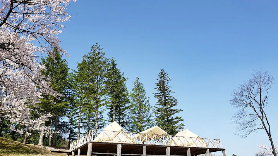 58 Rustic Camp