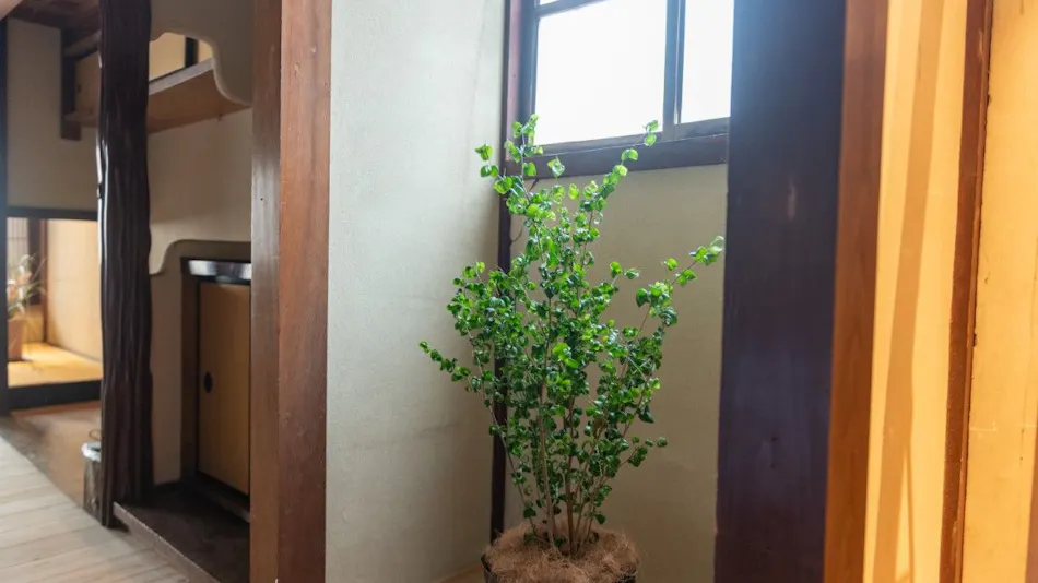 Sasayama Castle Town Guesthouse inosica