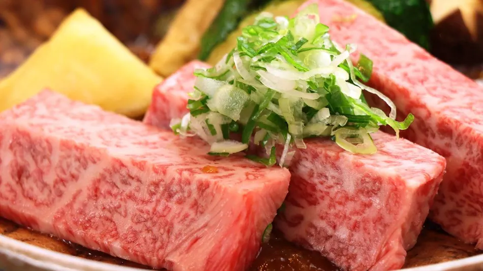 Gero Onsen - Hospitality and Flavor Accommodation, Kissenkan Chikusuitei